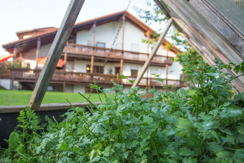 Auszeit-Wohnungen Aidenbach Exterior photo